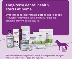 VETRADENT Mild Vanilla Flavored Dog & Cat Dental Spray, 59-mL bottle slide 2 of 6
