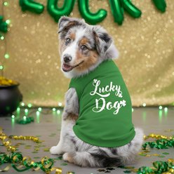 Doggie Design Lucky Graphic Dog Shirt, Emerald Green, Large slide 2 of 5