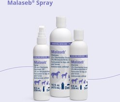 Malaseb Chlorhexidine & Miconazole Dogs, Cats & Horses Spray, 8-fl oz bottle slide 2 of 8