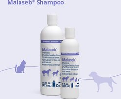 Malaseb Chlorhexidine & Miconazole Fragrance-Free Dogs, Cats & Horses Shampoo, 8-fl oz bottle slide 2 of 8
