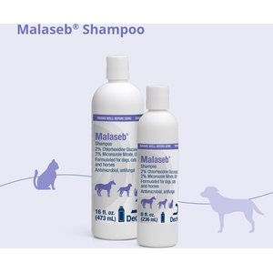 Malaseb Shampoo for Dogs, Cats & Horses, 8-fl oz bottle