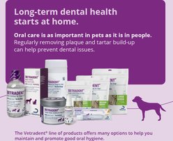 VETRADENT Veggie Large Adult Dog Dental Chew Treats, 30 count slide 2 of 7