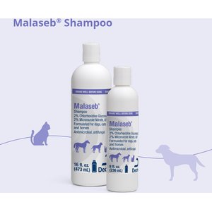 Malaseb Chlorhexidine & Miconazole Fragrance-Free Dogs, Cats & Horses Shampoo, 16-fl oz bottle