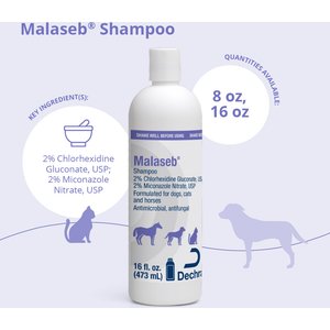 Malaseb Chlorhexidine & Miconazole Fragrance-Free Dogs, Cats & Horses Shampoo, 16-fl oz bottle