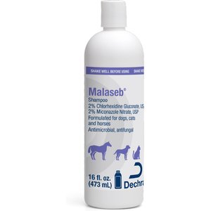 Malaseb Chlorhexidine & Miconazole Fragrance-Free Dogs, Cats & Horses Shampoo, 16-fl oz bottle