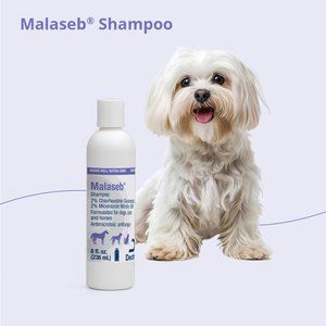 Malaseb Shampoo for Dogs, Cats & Horses, 8-fl oz bottle