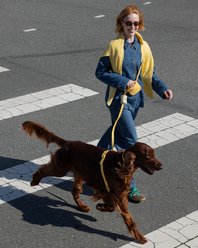Sunny Tails Waste Dog Poop Bag Dispenser, Yellow Gingham slide 2 of 2