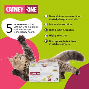 Catney One Kidney Powder Supplement for Cats, 30 count