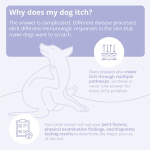 TrizCHLOR 4 Shampoo for Dogs, Cats & Horses, 8-fl oz bottle