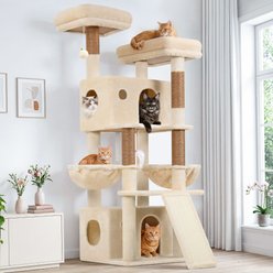 Globlazer Scratcher 64-in Plush Condo Cat Tree, Beige