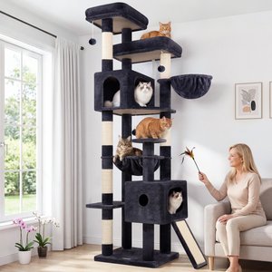 Globlazer 80-in Tall Plush Condo Cat Tree, Dark Gray