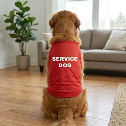 Doggie Design Service Graphic Dog Shirt, Red, X-Small slide 2 of 5