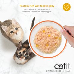 Catit Divine Shreds, Chicken with Liver & Broccoli, Jelly Variety Pack Grain-Free Wet Cat Food, 3-oz can, 4 count slide 2 of 5