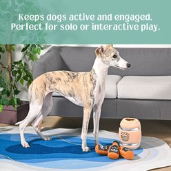 HugSmart Whiskey Barrel Puzzle Squeaky Hide & Seek Plush Dog Toy, Small/Medium slide 2 of 5