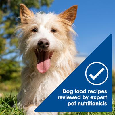 Show full view: Nature's Recipe Chicken, Salmon & Turkey Recipes Variety Pack Wet Dog Food, 2.75-oz can, 24 count slide 6 of 12