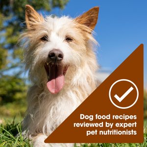 Nature's Recipe Grain-Free Chicken Recipe, Chicken & Venison Recipe & Chicken & Duck Recipe in Savory Broth Variety Pack Wet Dog Food, 2.75-oz, case of 24