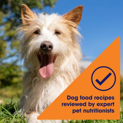 Show full view: Nature's Recipe Grain-Free Chicken Recipe in Savory Broth Wet Dog Food, 2.75-oz, case of 12 slide 6 of 13
