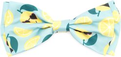The Worthy Dog Lemons Dog Bow Tie, Mint Green, Small slide 1 of 3