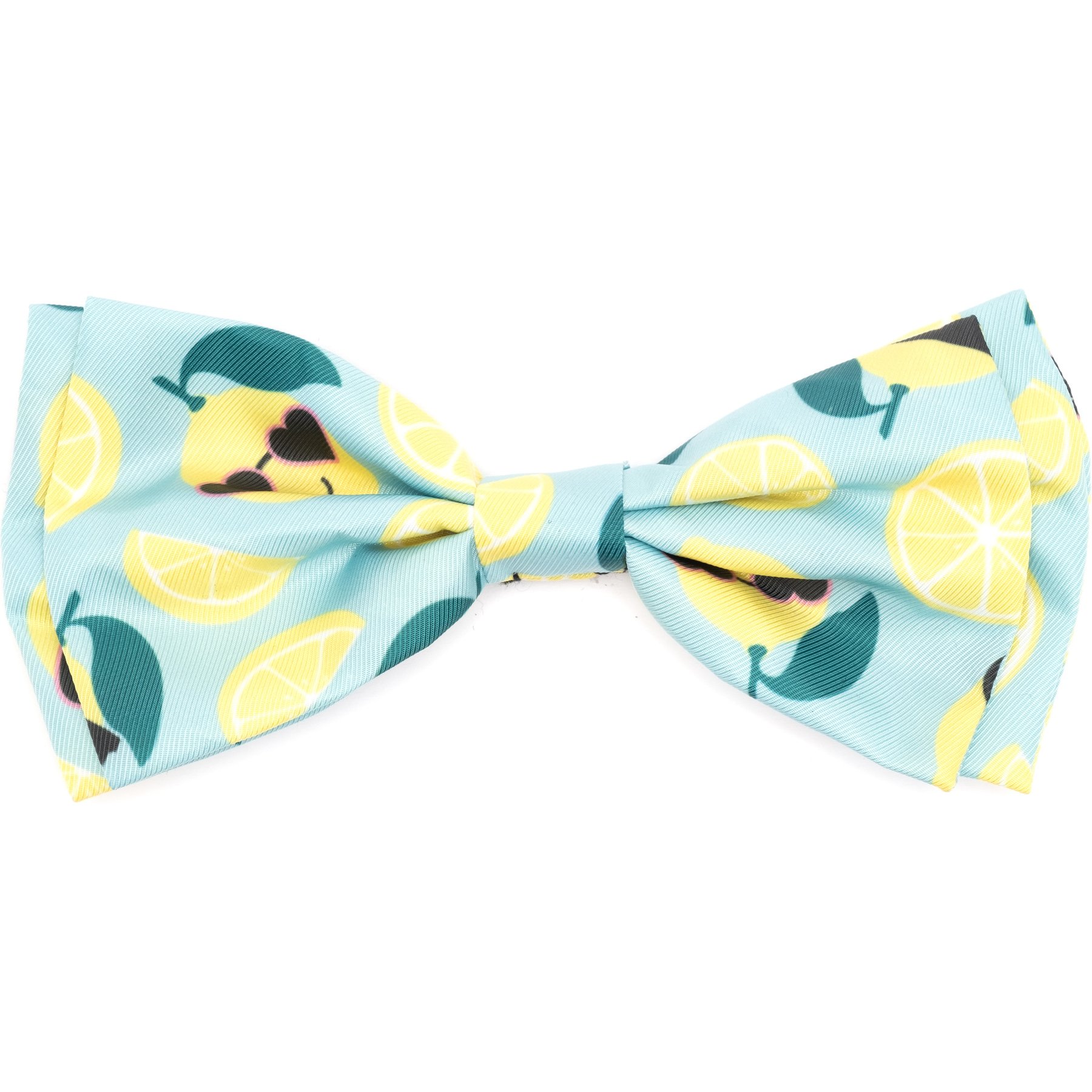 The Worthy Dog Lemons Dog Bow Tie, Mint Green, Large