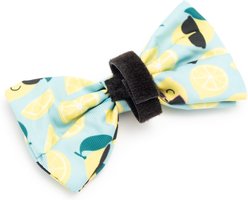 The Worthy Dog Lemons Dog Bow Tie, Mint Green, Small slide 2 of 3