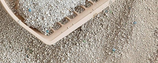 Clumping Litter