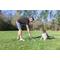 Show in main carousel: Chuckit! Ultra Launcher 18M Dog Launchers Toy with Balls, Multicolor, Medium slide 3 of 4