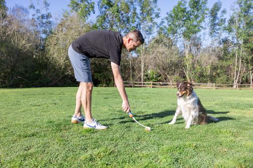 Show full view: Chuckit! Ultra Launcher 18M Dog Launchers Toy with Balls, Multicolor, Medium slide 3 of 4