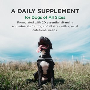 Pet-Tabs Plus Vitamin-Mineral Dog Supplement, 180 count