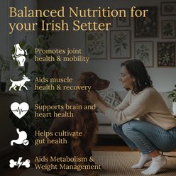 Prestige Breed Irish Setter Multivitamins Digestive Health Bacon Flavored Supplement for Dogs, 90 count slide 2 of 6