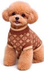 Everything Chic Chewy Pawtton Dog Sweater, Small