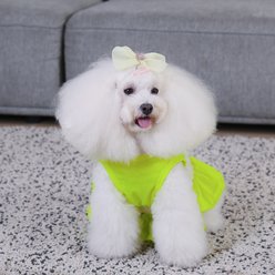 CuteBone Machine Washable Solid Two Piece Dog Sports Dress, Fluorescent Green, Large slide 2 of 9