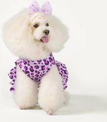 CuteBone Leopard Machine Washable Animal Print Two Piece Dog Sports Dress, Purple, Small slide 2 of 9