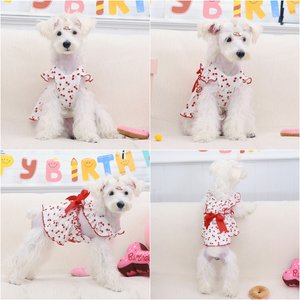 CuteBone Cherry Cotton Machine Washable Dog Dress with Leash Ring, Red/White, Small