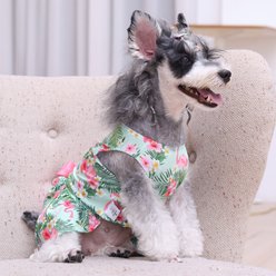 CuteBone Flamingo Machine Washable Animal Print Dog Mesh Sundress, Pink/Green, Medium slide 2 of 8