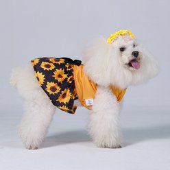 CuteBone Sunflower Machine Washable Floral Dog Mesh Sundress, Orange, Large slide 2 of 8