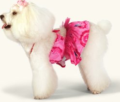 CuteBone Cashew Flower Personalized One Piece Floral Dog Bikini Swimsuit Dress, Red/Pink, X-Small slide 2 of 8