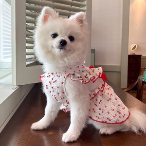 CuteBone Cherry Cotton Machine Washable Dog Dress with Leash Ring, Red/White, Small