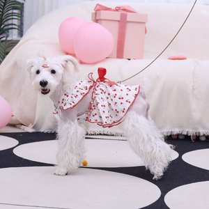 CuteBone Cherry Cotton Machine Washable Dog Dress with Leash Ring, Red/White, Small