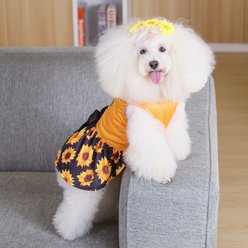 CuteBone Sunflower Machine Washable Floral Dog Mesh Sundress, Orange, Small slide 2 of 8