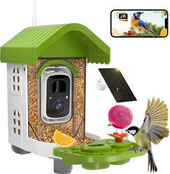 NEEZUKAR Solar Smart Camera & Perch Extender House Hopper Bird Feeder, 0.8-L, Green, 3.5-lb