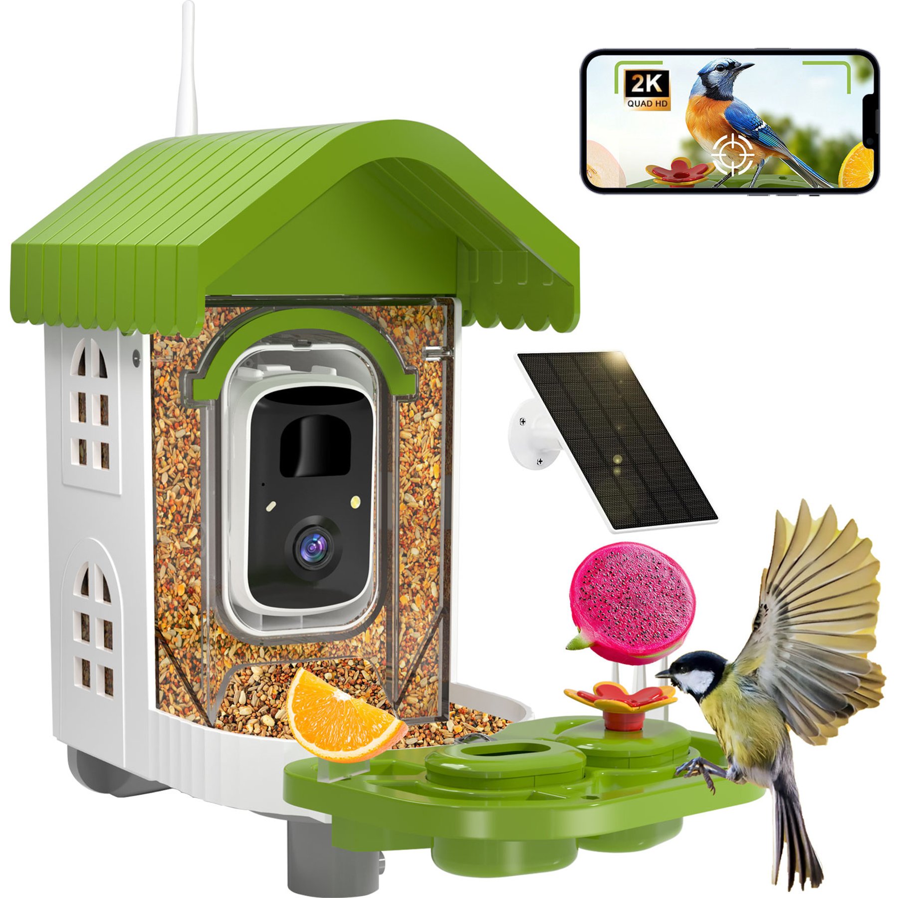 NEEZUKAR Solar Smart Camera & Perch Extender House Hopper Bird Feeder, 0.8-L, Green, 3.5-lb