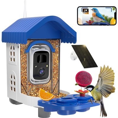 NEEZUKAR NEEZUKAR Solar Smart Camera & Perch Extender House Hopper Bird Feeder, 0.8-L, Blue, 3.4-lb