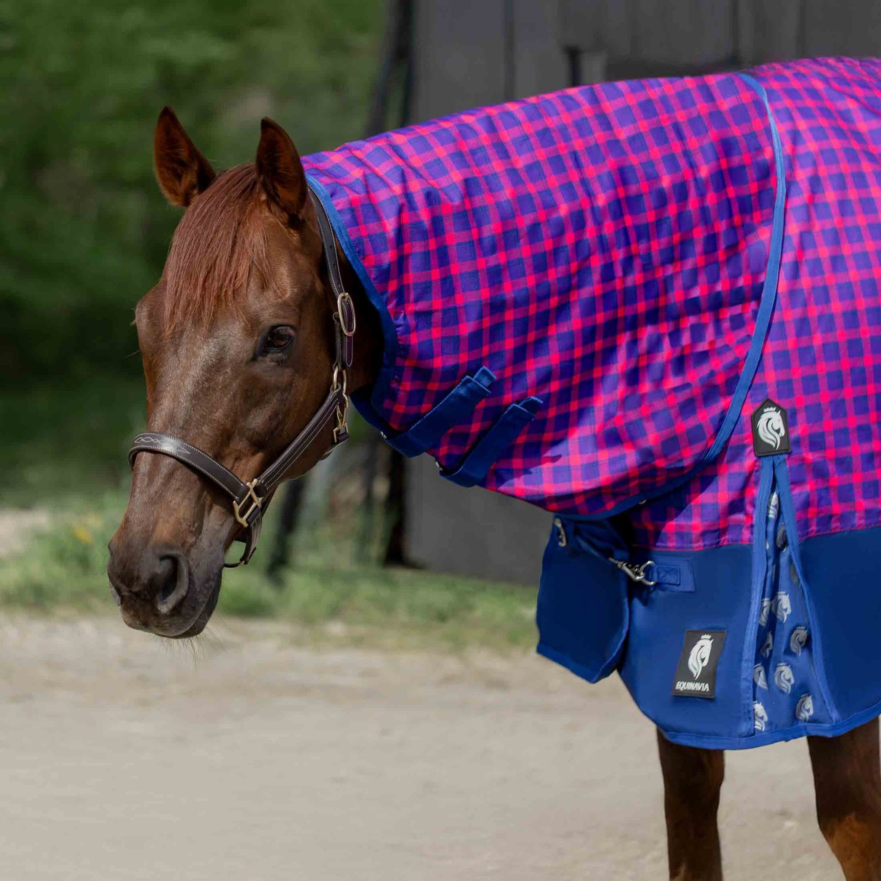 Equinavia Norse Horse Turnout Sheet, Galaxy Blue/Pink Flambe, 69-in