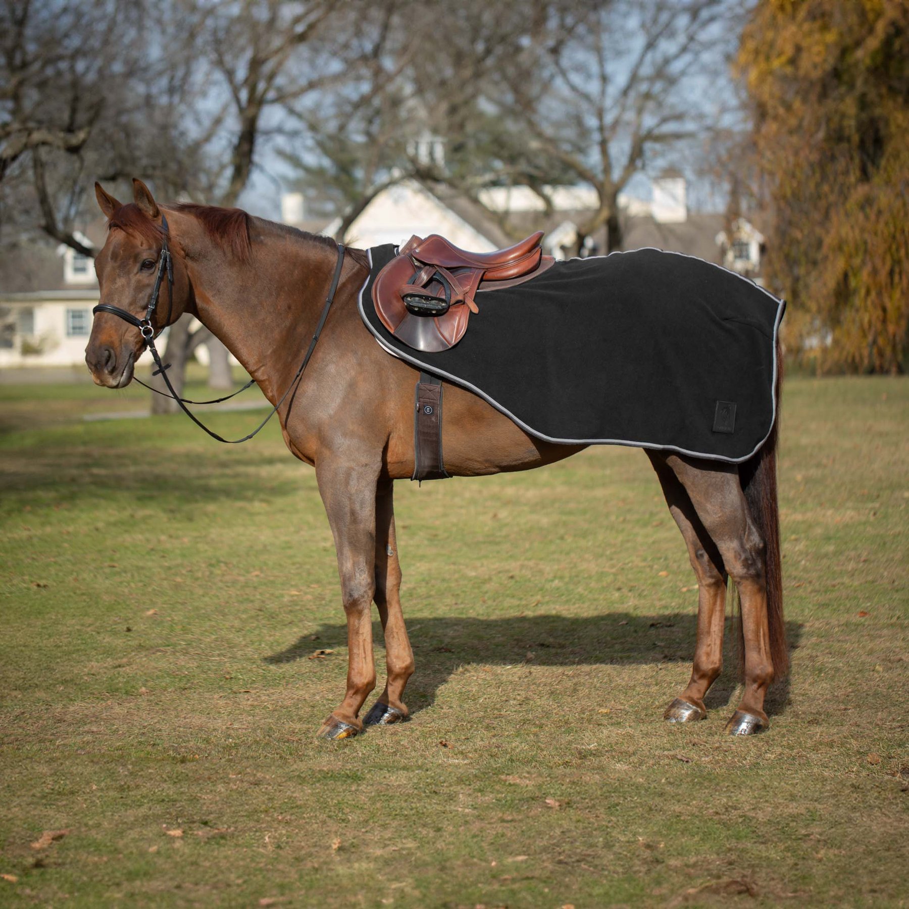Equinavia Norse Fleece Horse Quarter Sheet, Black, X-Large