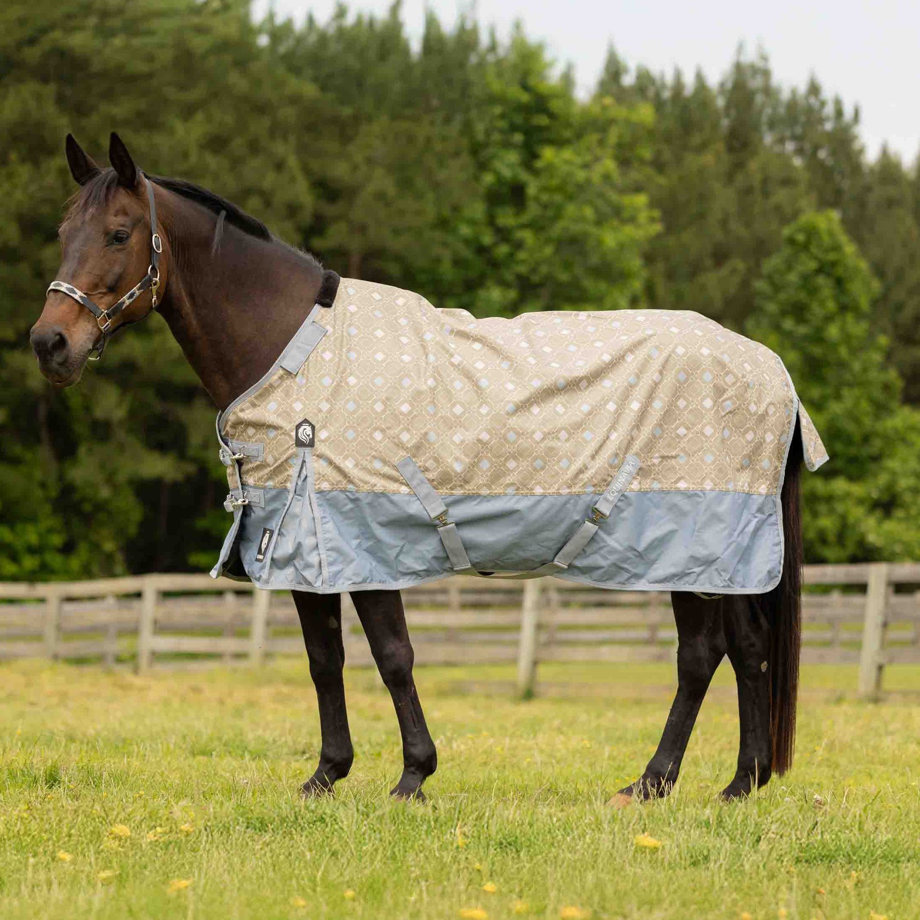 Equinavia Norse Fleece Lined Horse Turnout Blanket, Slate Grey/Light Olive, 72-in