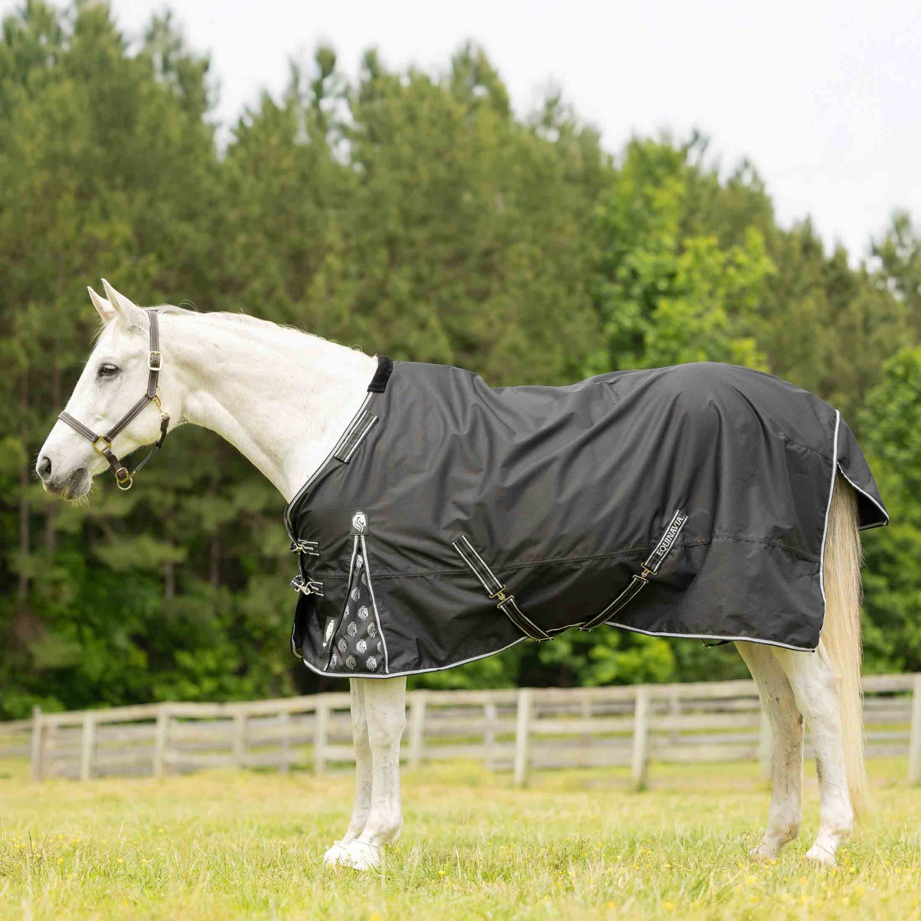 Equinavia Norse Fleece Lined Horse Turnout Blanket, Black, 69-in