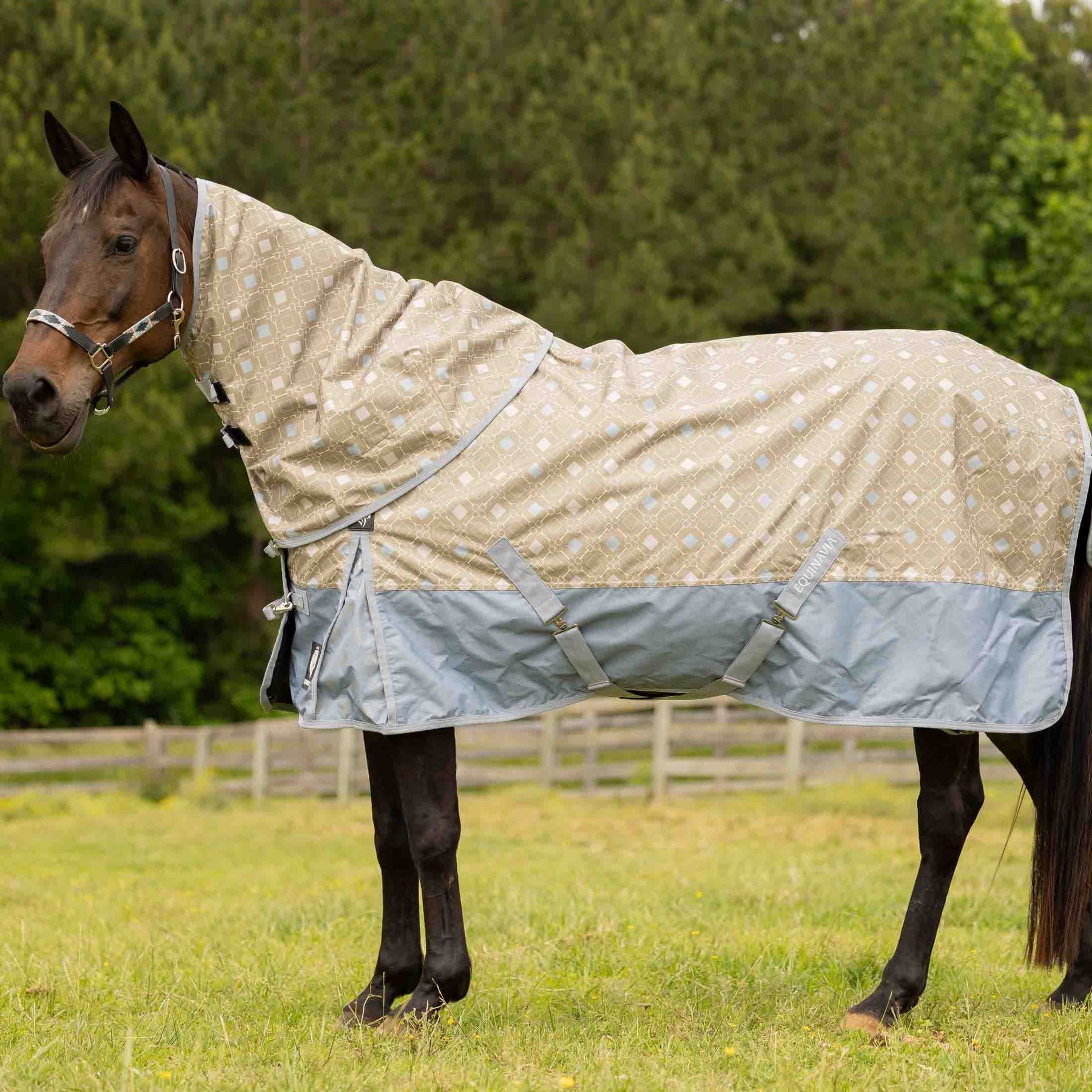 Equinavia Norse Lightweight 100-g Horse Turnout Blanket, Slate Grey/Light Olive, 72-in