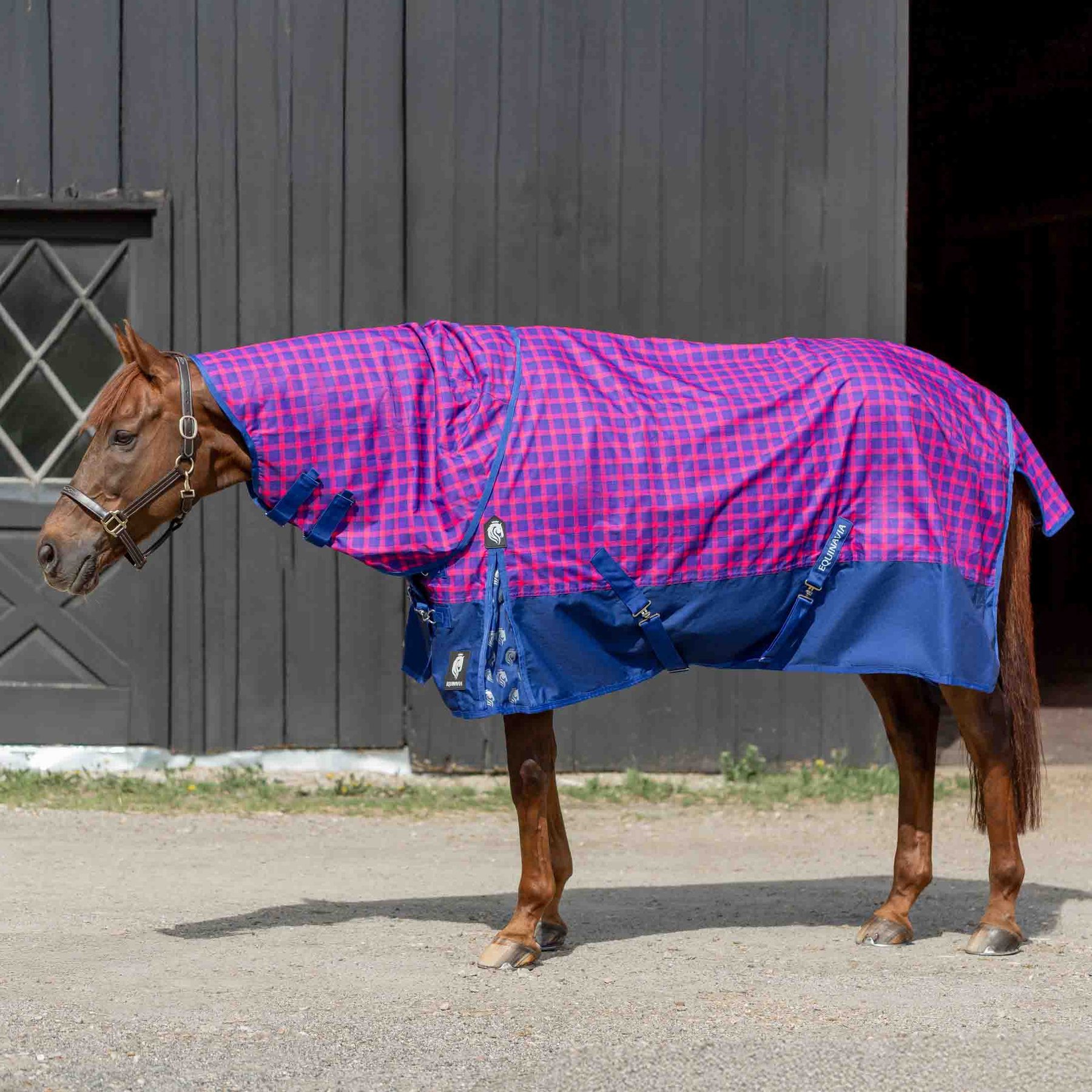 Equinavia Norse Fleece Lined Horse Turnout Blanket, Galaxy Blue/Pink Flambe, 75-in
