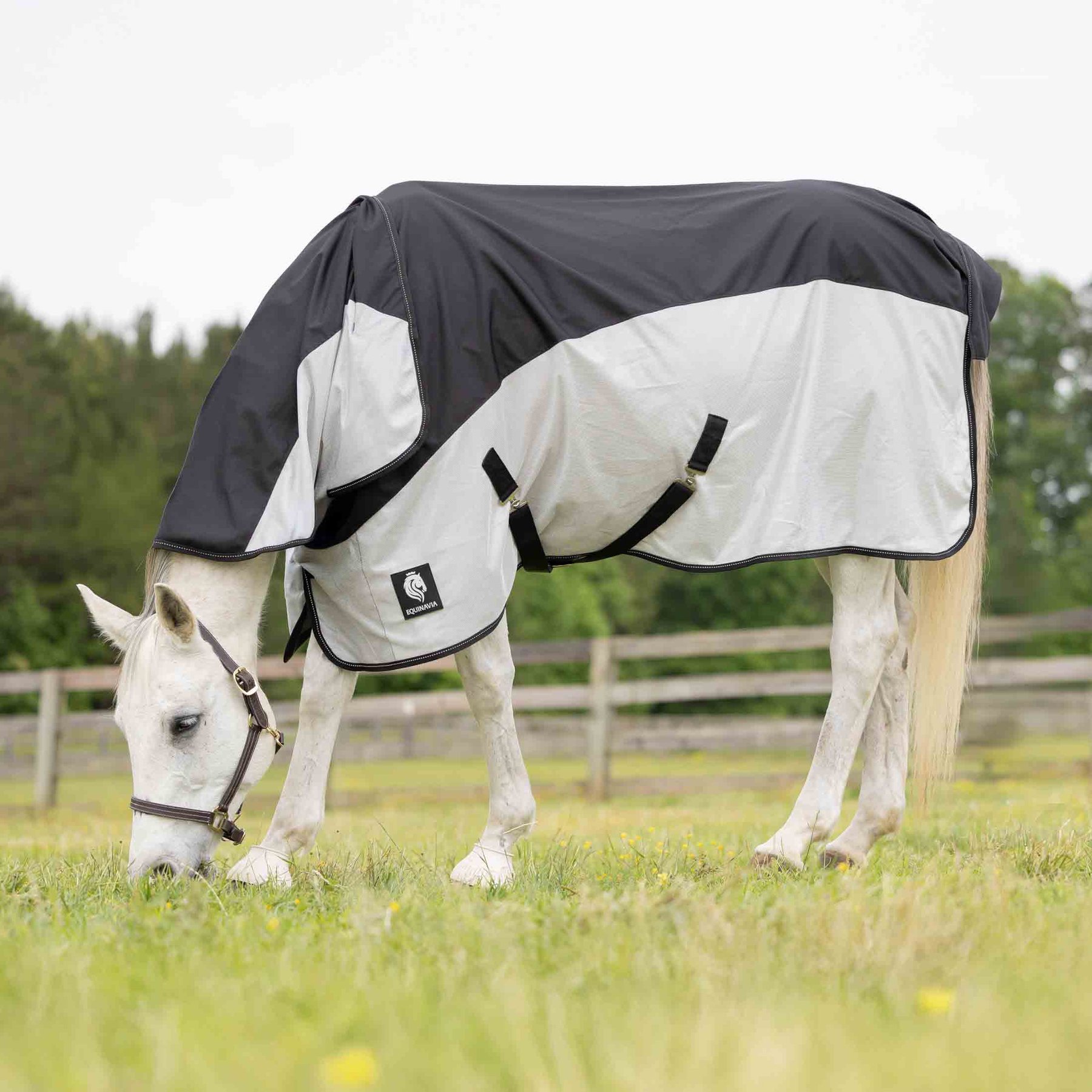 Equinavia Norse Detachable Neck Combi Horse Summer Sheet, Black/Silver Grey, 72-in