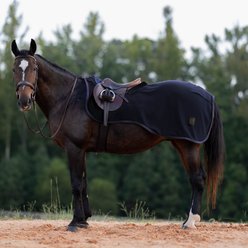 Equinavia Koselig Fleece Horse Quarter Sheet, Navy, Medium